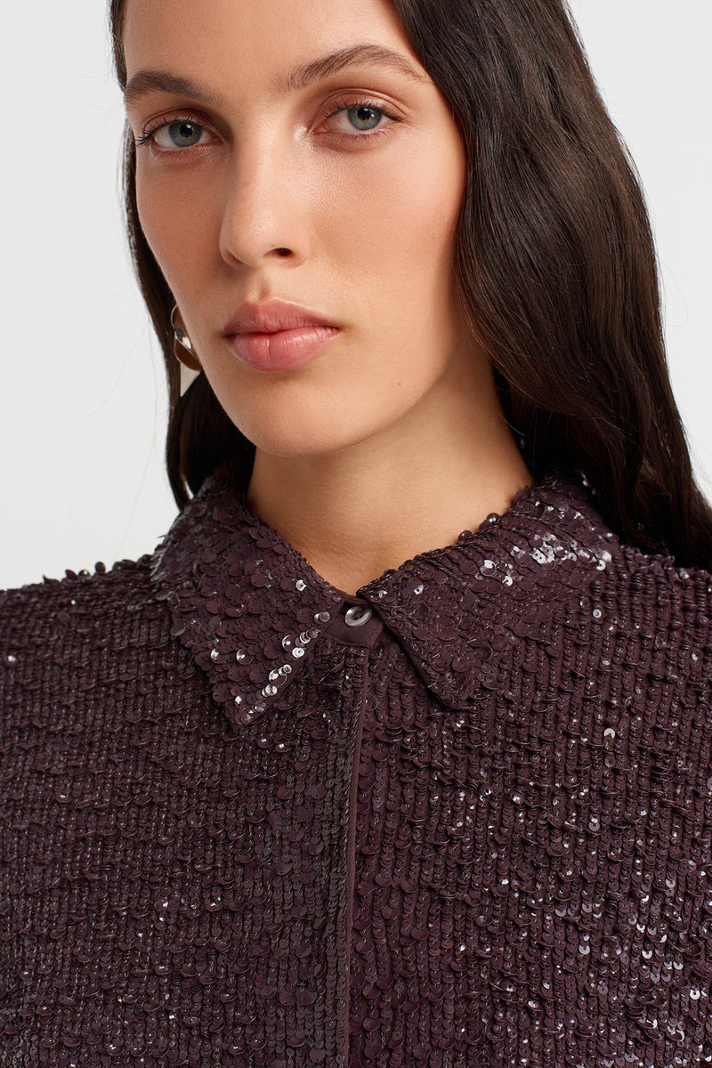 Nu Sequin Elegant Blouse Eggplant