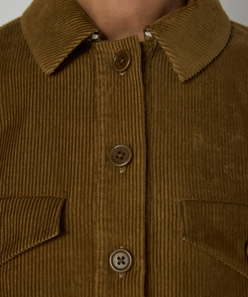 Machka Belted Velvet Dress Cinnamon