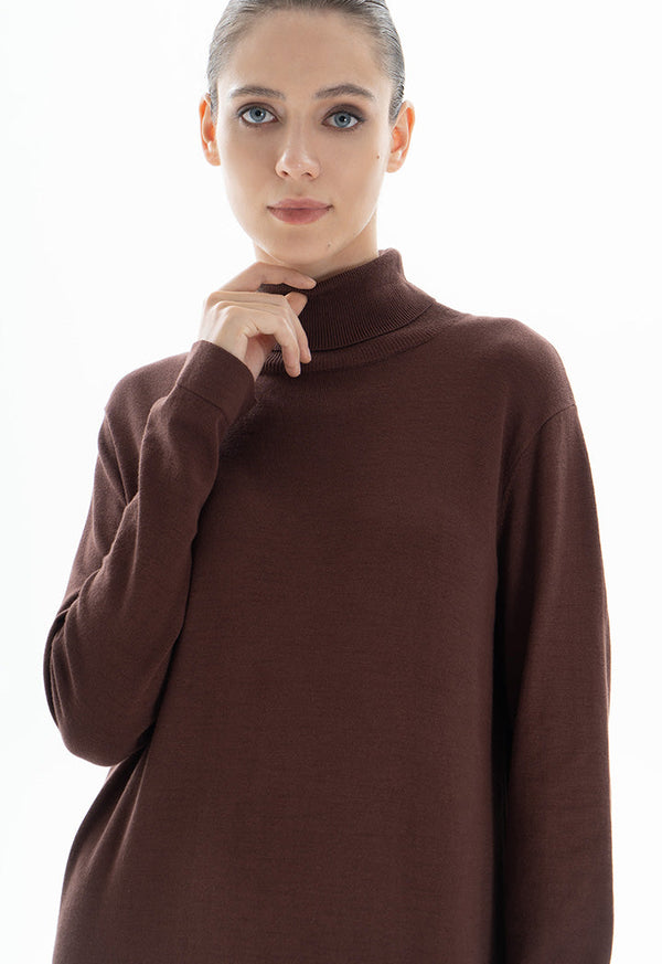 Choice Turtleneck Midi Dress Brown