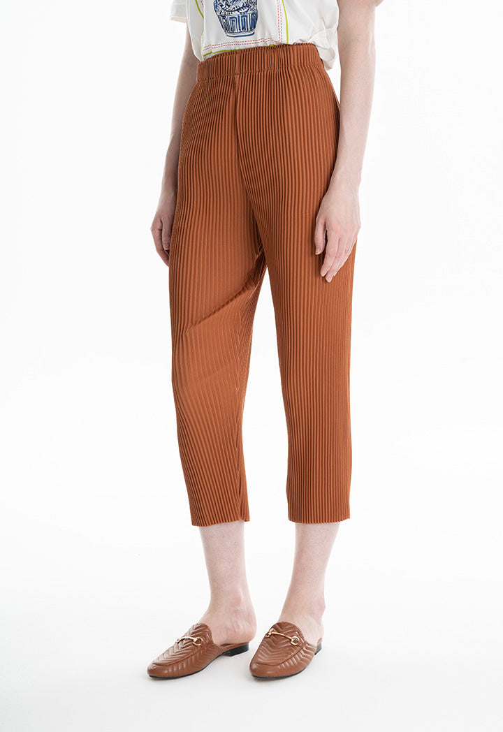 Choice Elasticated Waist Pleated Trousers Brick